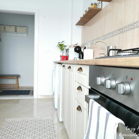 Cozy Apartment Narciselor Suceava Ipotesti  Exterior foto