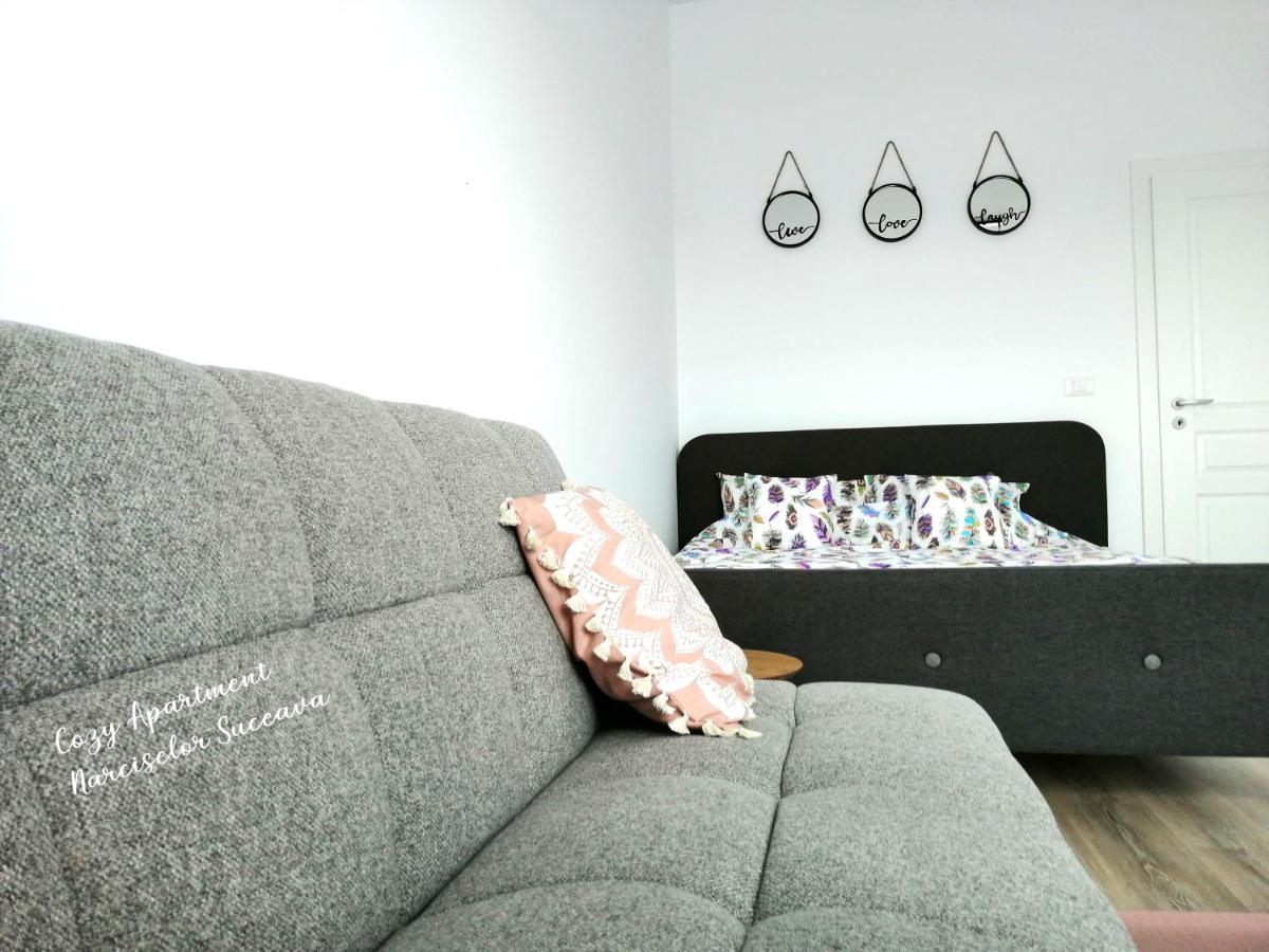 Cozy Apartment Narciselor Suceava Ipotesti  Exterior foto
