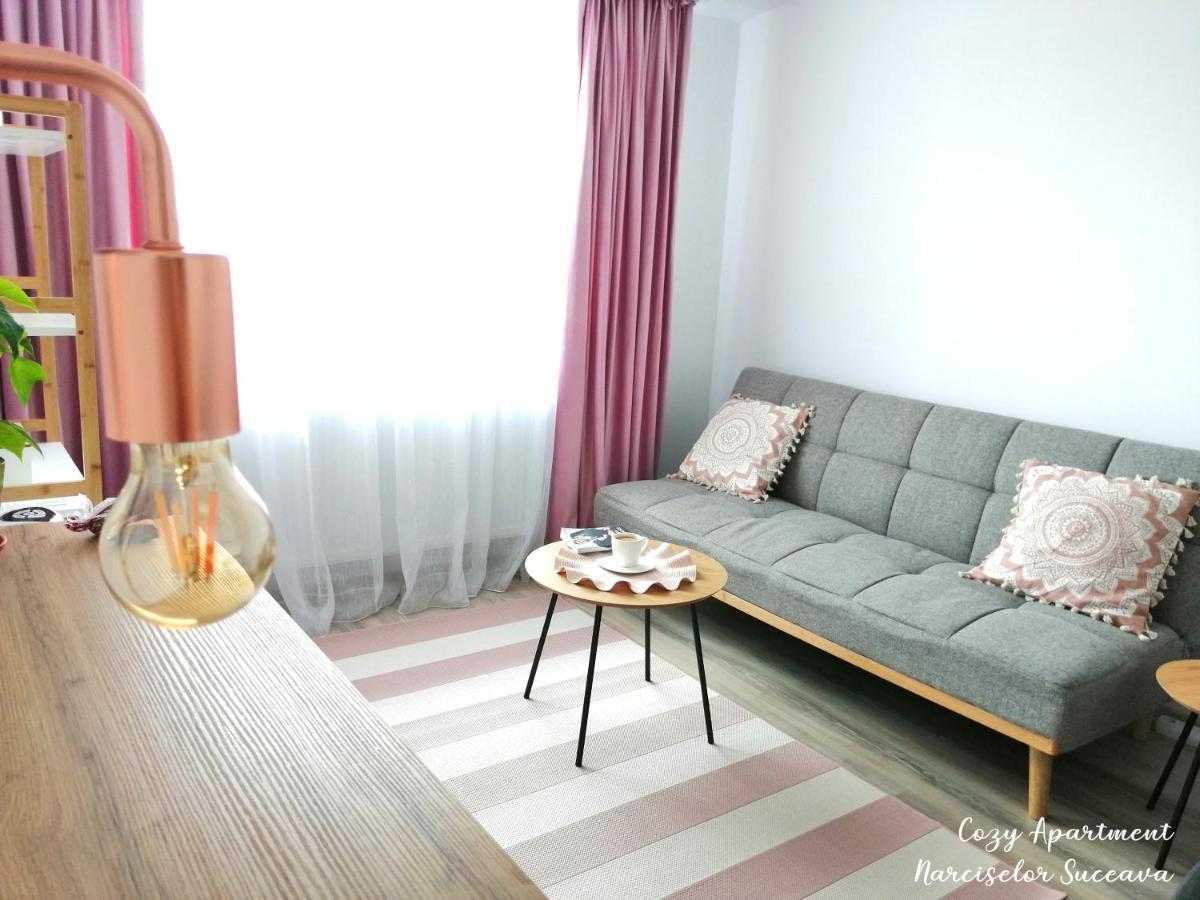 Cozy Apartment Narciselor Suceava Ipotesti  Exterior foto