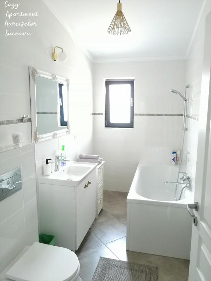 Cozy Apartment Narciselor Suceava Ipotesti  Exterior foto
