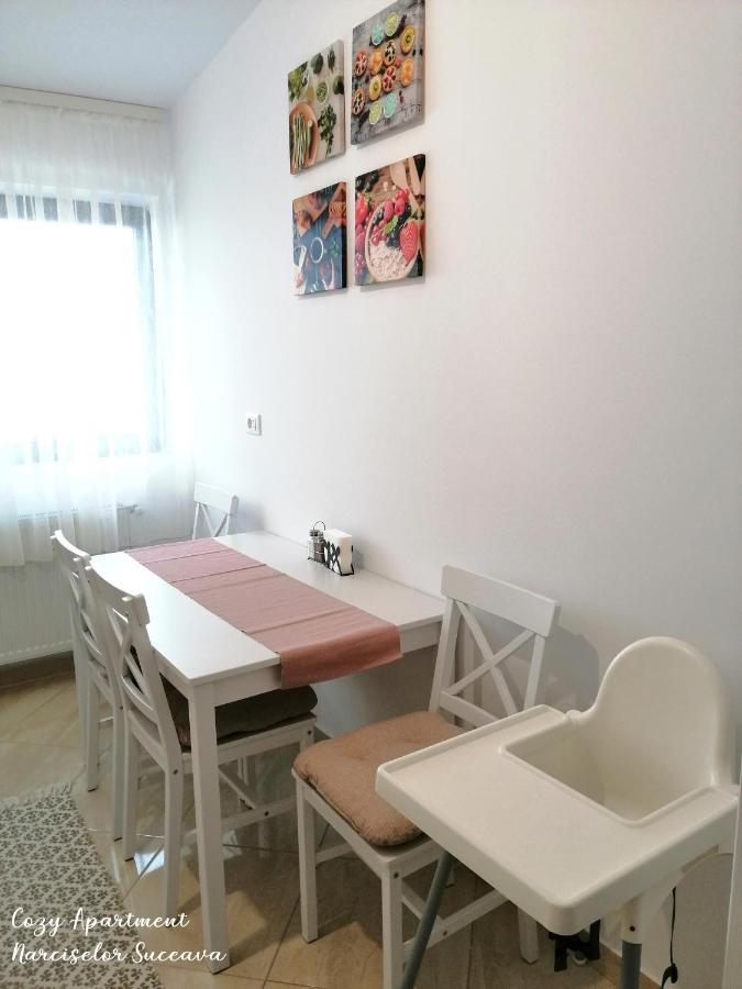 Cozy Apartment Narciselor Suceava Ipotesti  Exterior foto